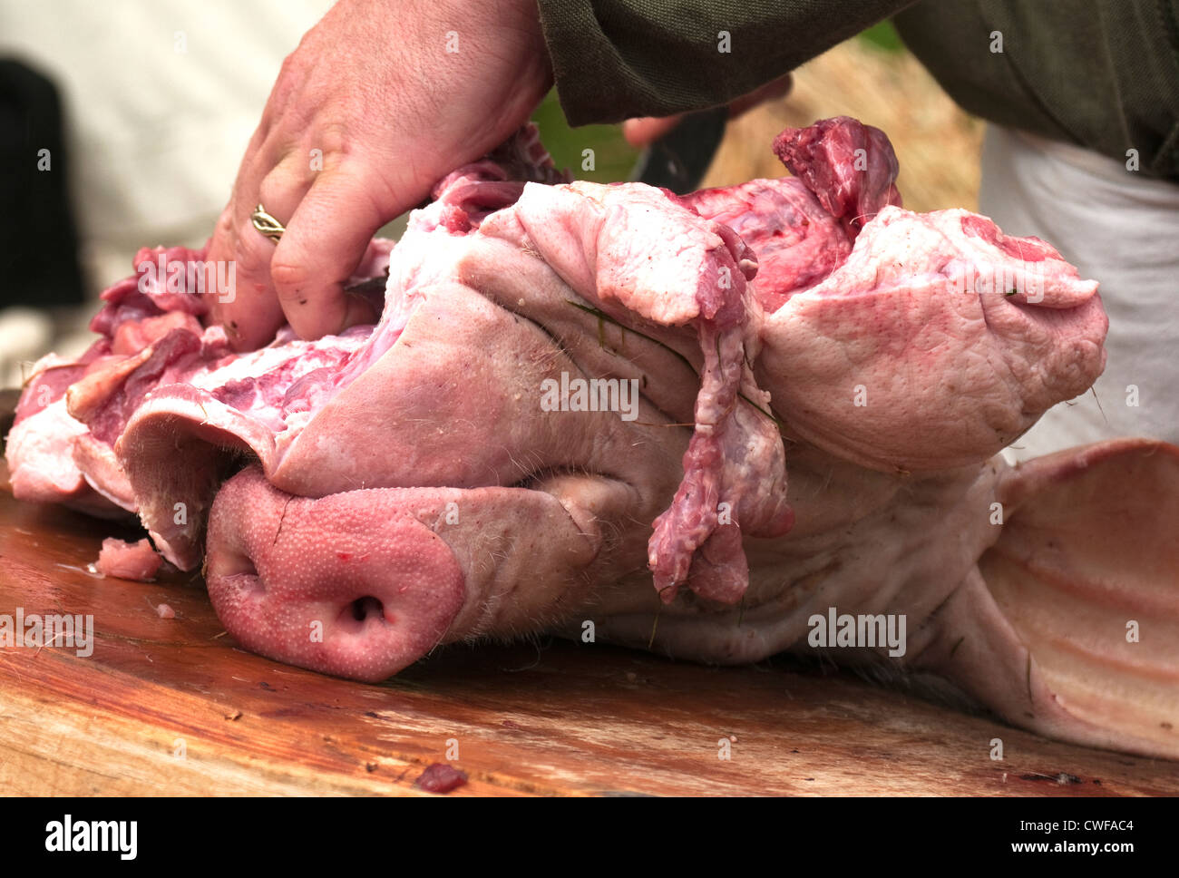Cité médiévale à Herstmoncieux Boucher Banque D'Images