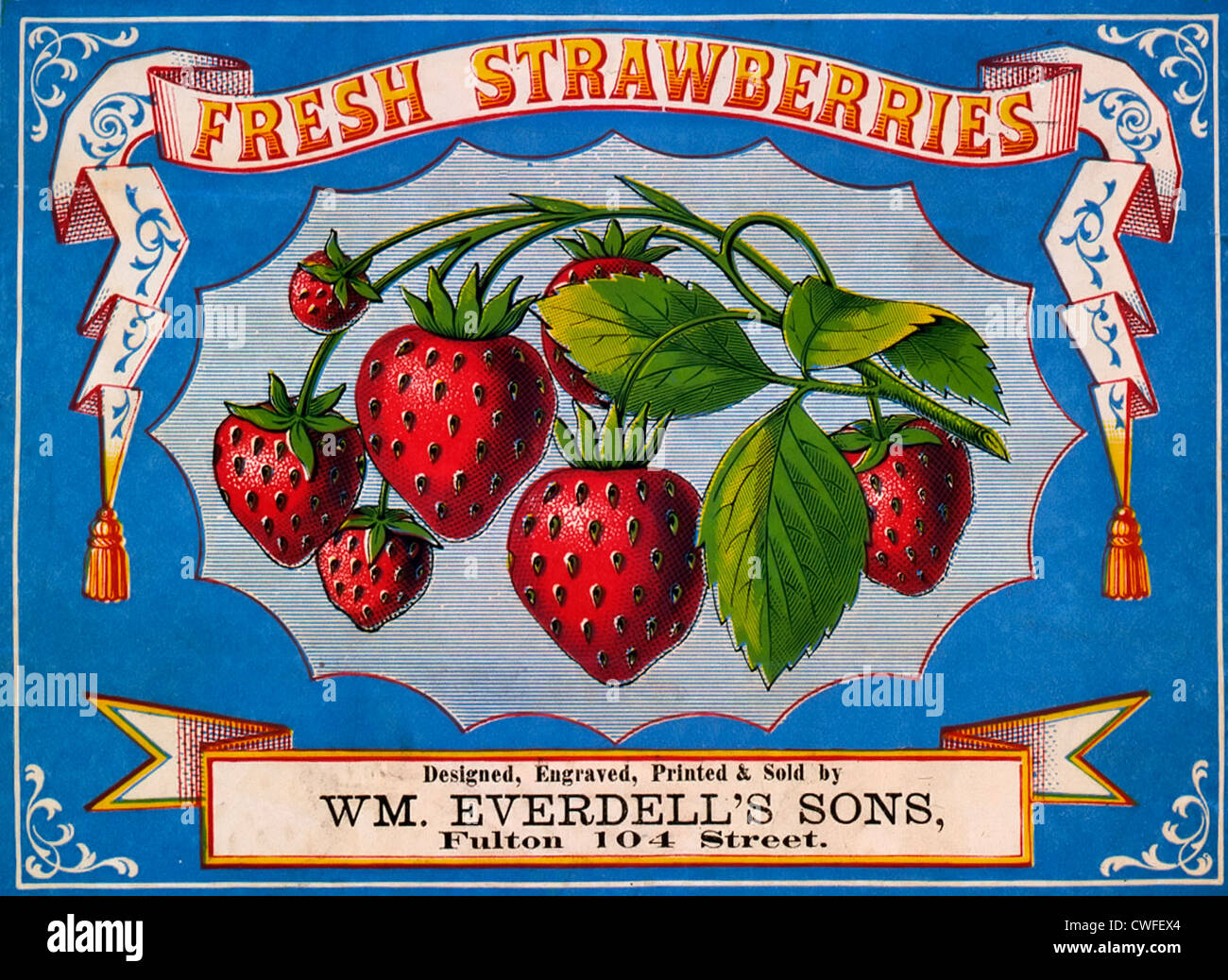 Fraises fraîches, l'étiquette de la publicité, vers 1868 Banque D'Images