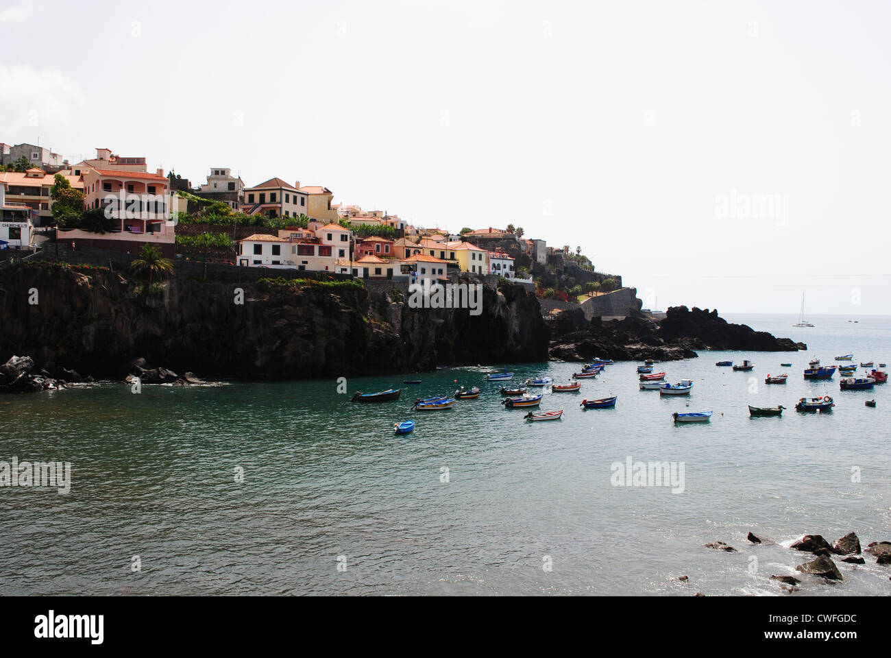 C'est un village de pêcheurs appelé Camara de Lobos, sur l'île de Madère, au Portugal. Banque D'Images