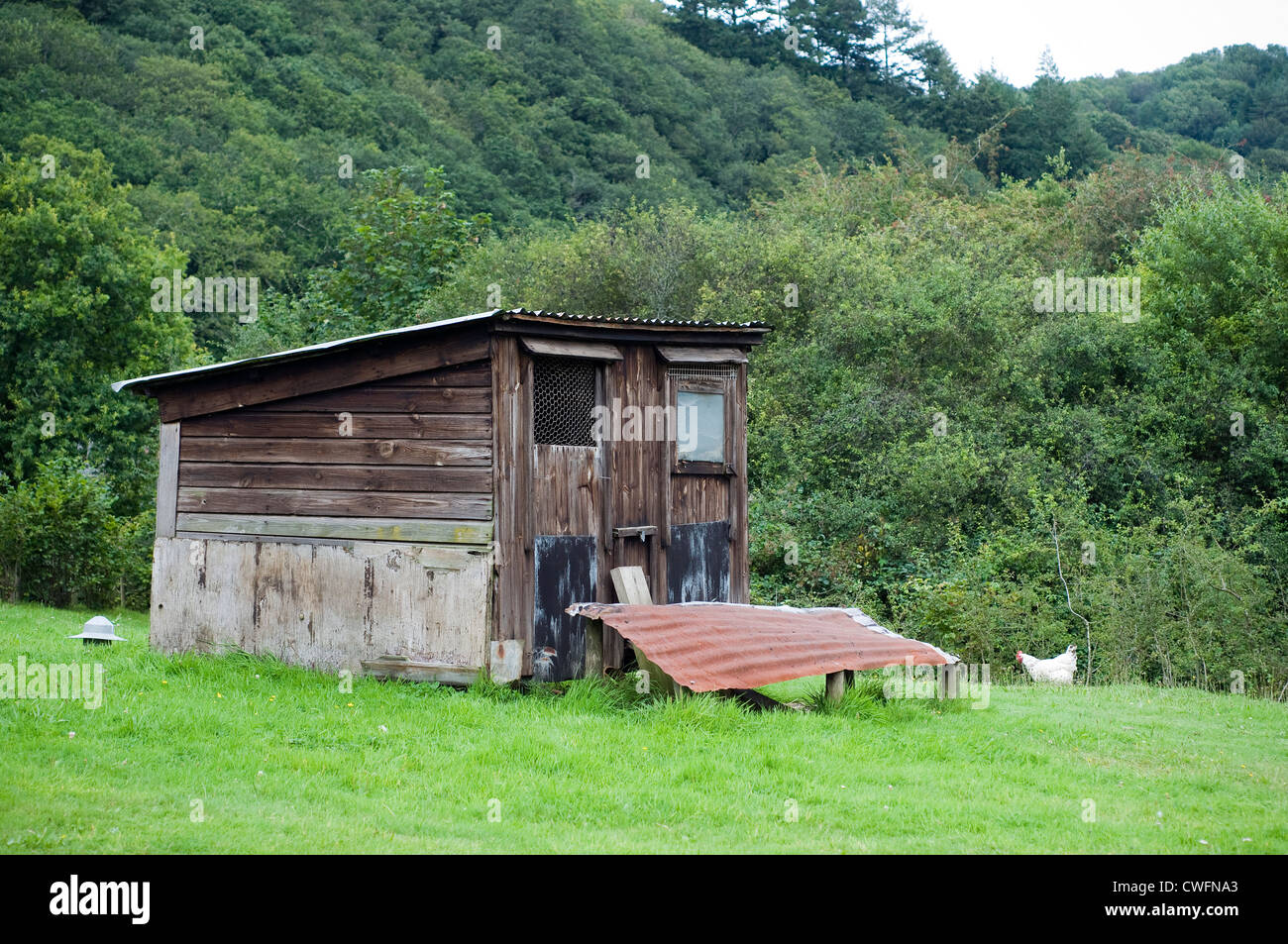 Coup de poulet,demeure, de l'agriculture, de l'agriculture, de l'architecture, oiseaux, oiseau, construit, poulet, coup, détails, porte, maison d'habitation, de l'agriculture Banque D'Images