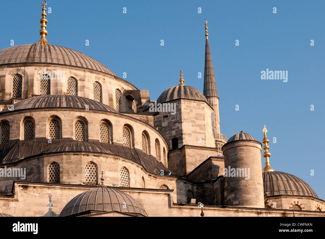 Les dômes de la Mosquée Bleue, Sultanahmet, Istanbul, Turquie Banque D'Images