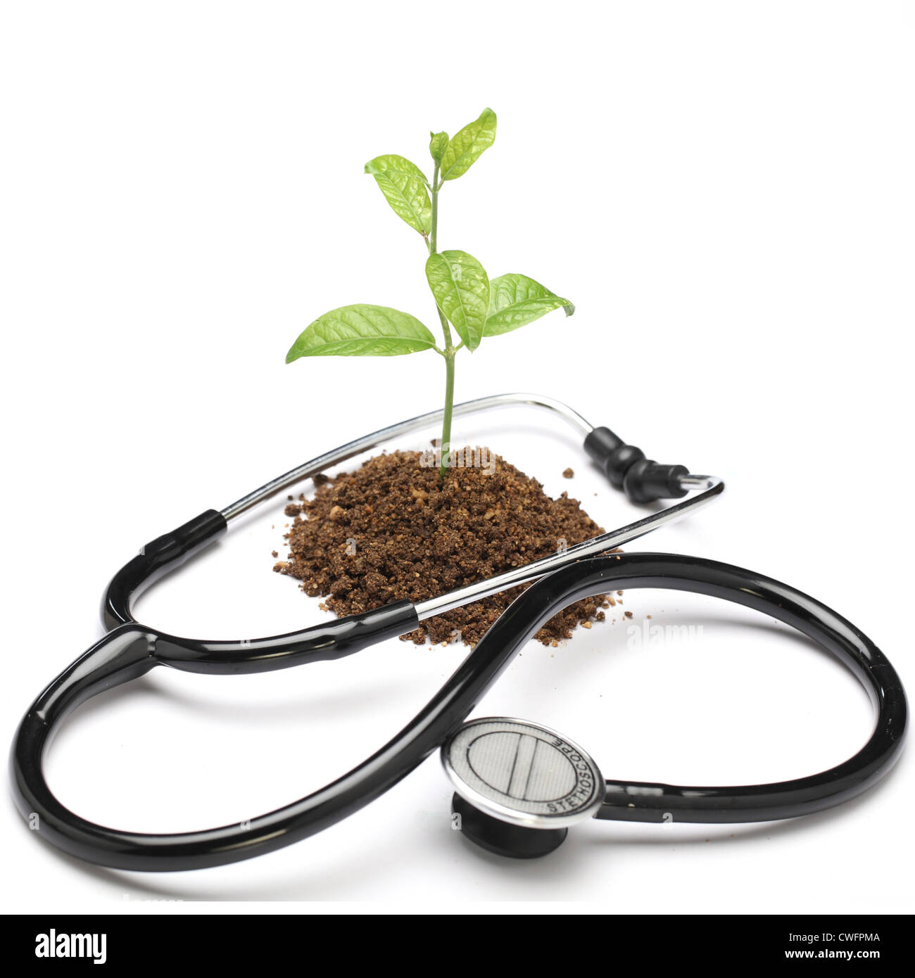 Jeune plant and stethoscope on white Banque D'Images