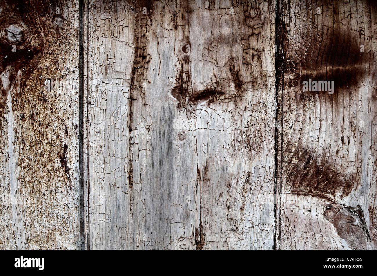 Détail de surface étroit de la rabotage de porte en bois dérésisté montrant  le grain de bois Photo Stock - Alamy