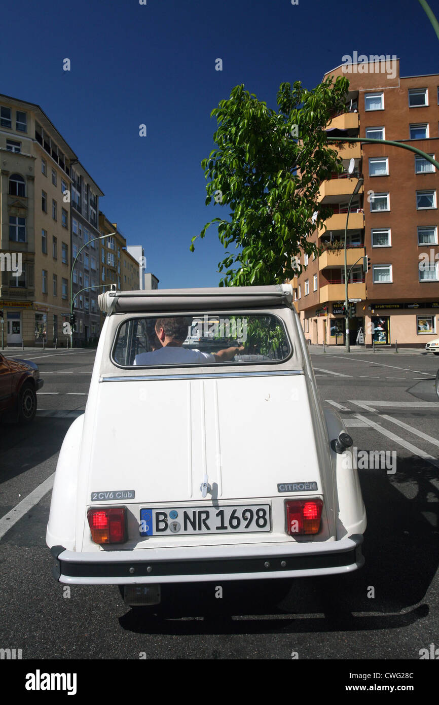 Berlin, transport d'un Ficus en voiture Banque D'Images