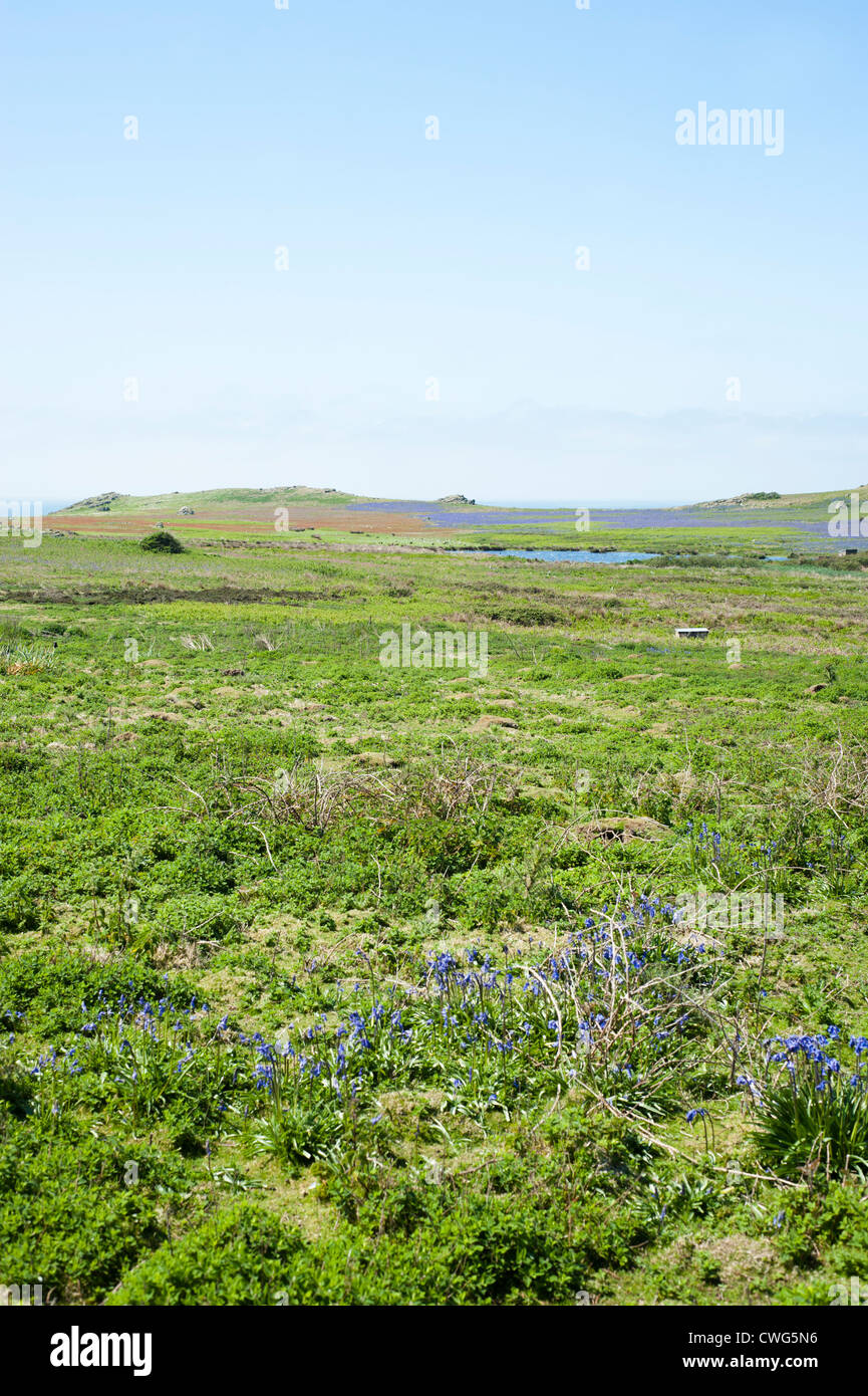 Vue sur l'Étang du Nord, l'île de Skomer, dans le sud du Pays de Galles, Royaume-Uni Banque D'Images