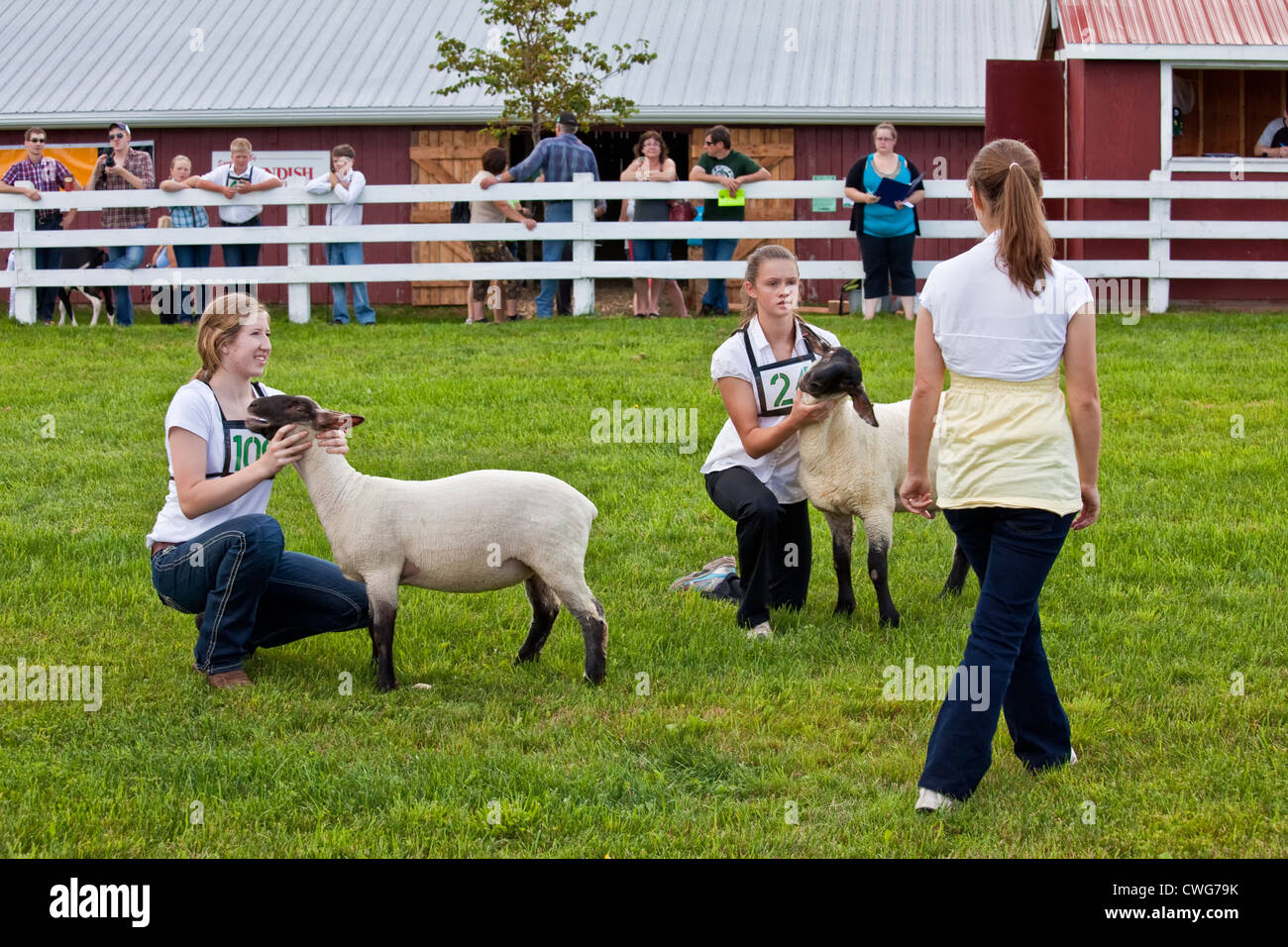 Concurrents dans le concours de moutons de la jeunesse 4H au provincial de labour et Parade & Foire Agricole, Dundas, PEI Banque D'Images