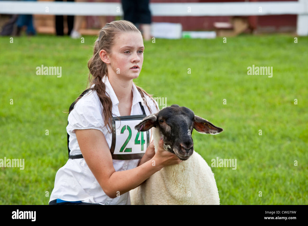 Concurrent dans le mouton de la jeunesse 4H à l'échelle provinciale du concours de labour et Parade & Foire Agricole, Dundas, PEI Banque D'Images