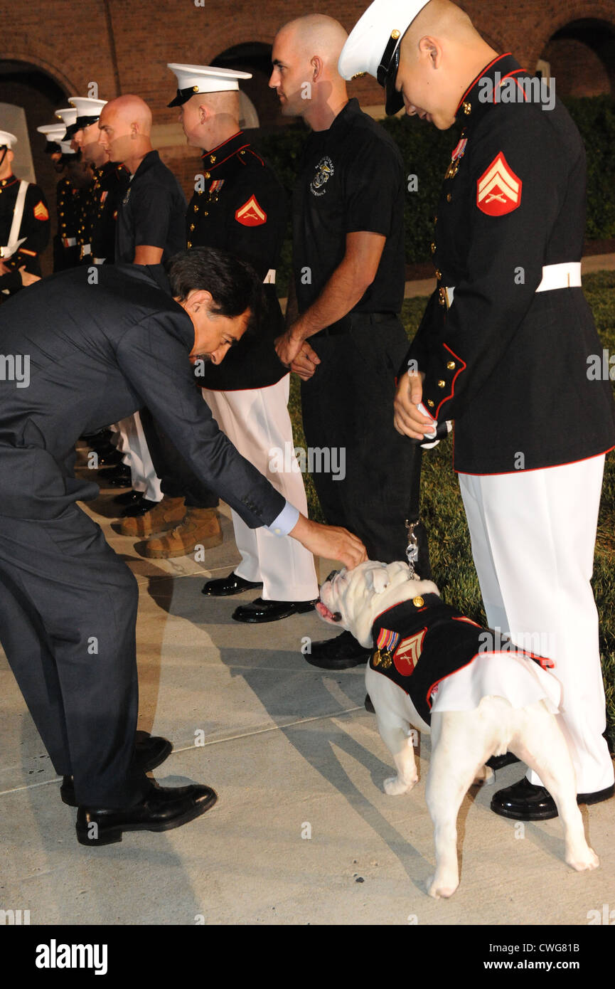 L'acteur Joe Mantegna animaux domestiques la mascotte de la caserne des marines US Washington Le Cpl. Chesty XIII après la parade à la caserne le 3 juin 2012 à Washington, D.C. La caserne a un défilé chaque vendredi soir pendant les mois d'été. Banque D'Images