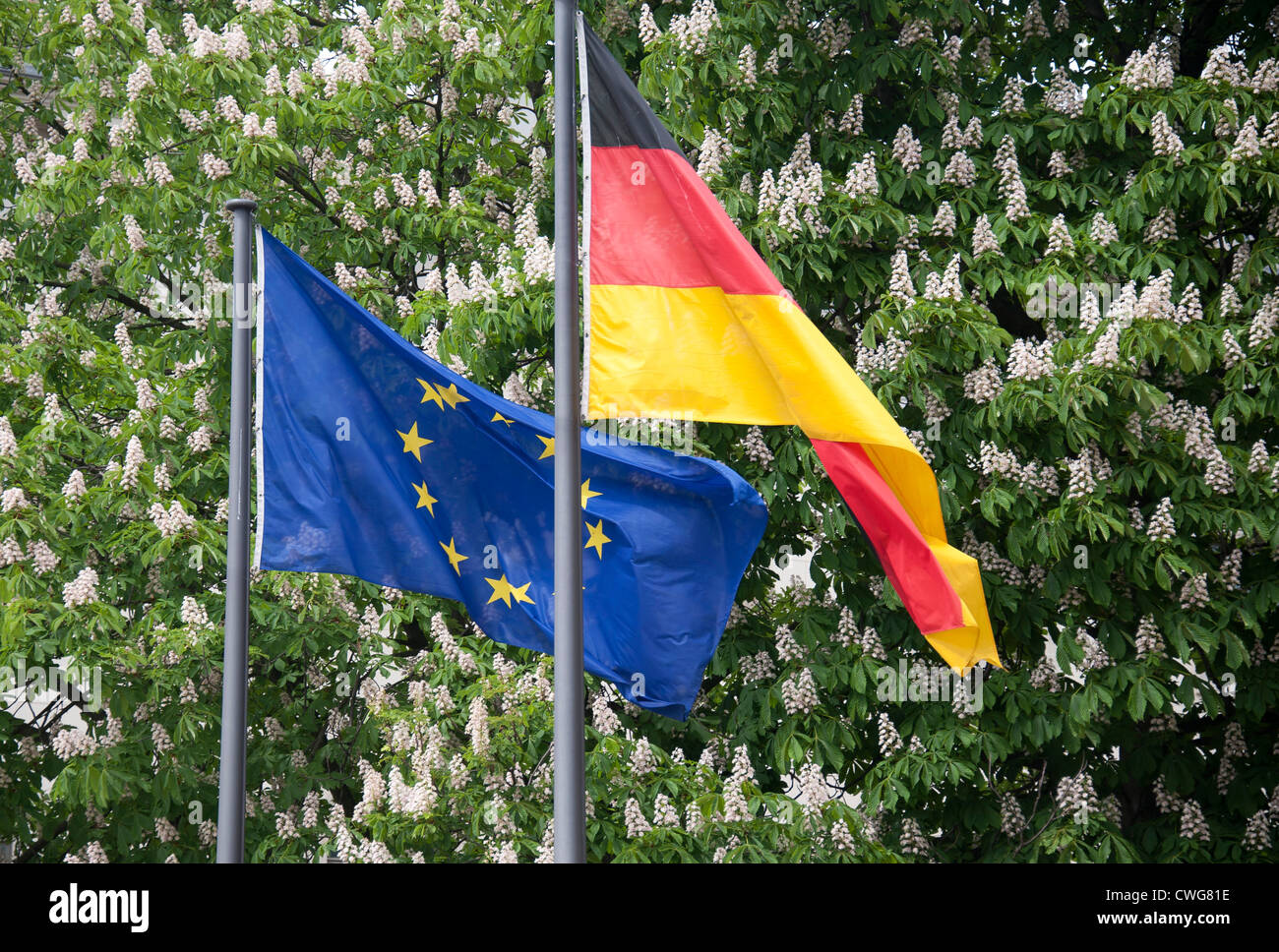 L'Union européenne et de drapeaux allemands volent ensemble, Berlin, Allemagne. Banque D'Images
