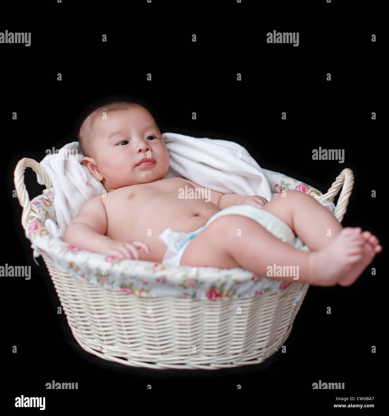 Mignon Bebe Dans Panier Avec Fond Noir Photo Stock Alamy Mignon Bebe Dans Panier Avec Fond Noir Photo Stock Alamy