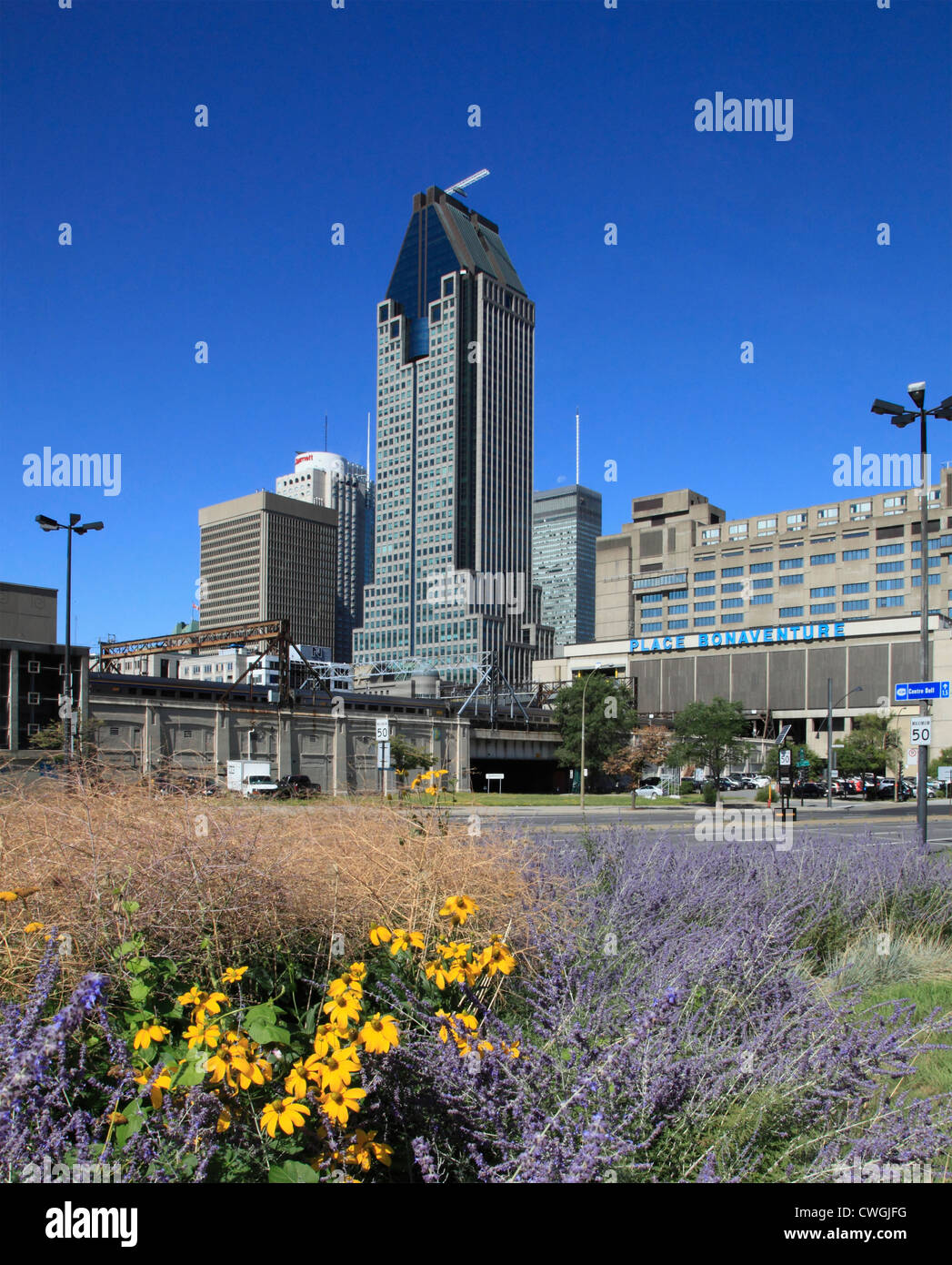 Canada, Québec, Montréal, rue Université, Banque D'Images