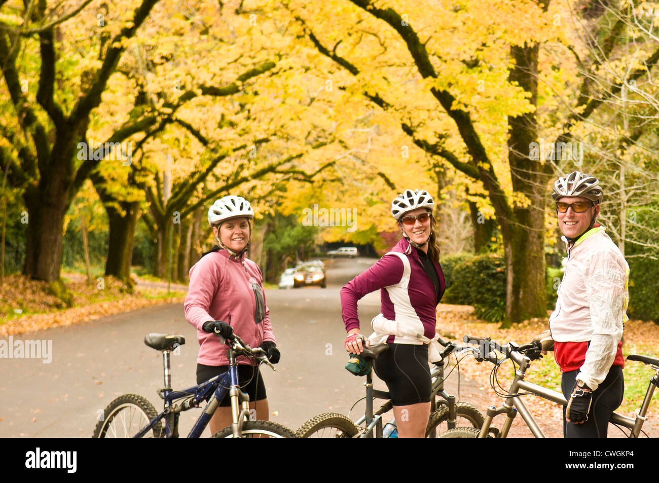 Trois cyclistes de montagne sur une rue avec des arbres cottonwood jaune, Corte Madera, en Californie. Banque D'Images