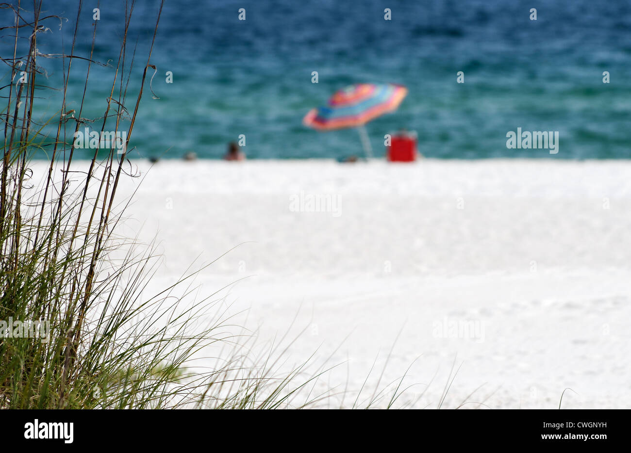 La plage de sable blanc sur la côte du golfe de l'Alabama. Banque D'Images