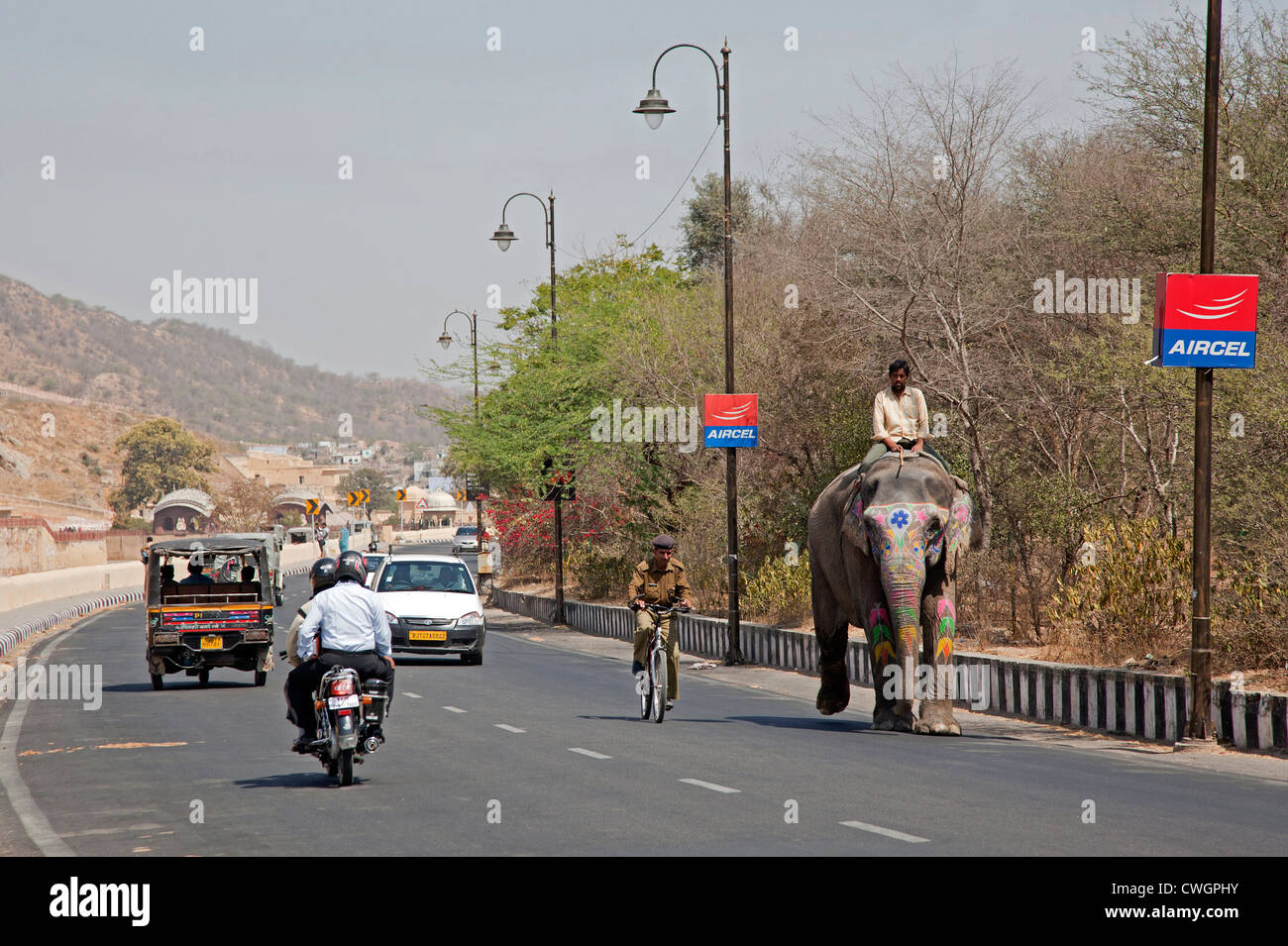 Décorée d'éléphants indiens Mahout équitation sur la route entre le trafic à Jaipur, Rajasthan, Inde Banque D'Images