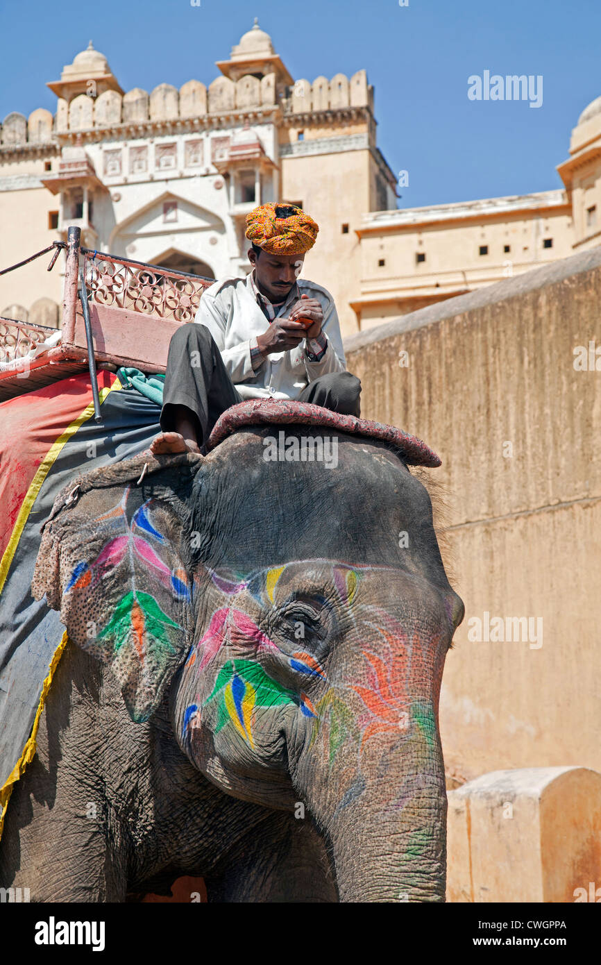 Mahout équitation décorées pour le transport des éléphants indiens touristes à Fort Amer / Amber Fort près de Jaipur, Rajasthan, Inde Banque D'Images
