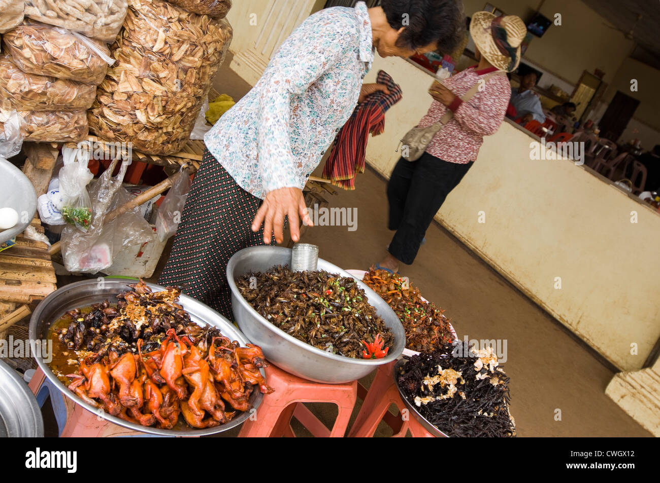 Grand angle de visualisation horizontal typique d'un marché en bordure de la vente d'insectes frits étrange et son ensemble de petits oiseaux au Cambodge Banque D'Images