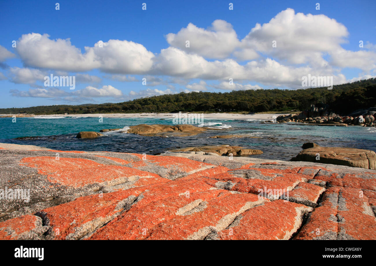 Coin Cosy Beach, Bay of Fires, Côte Est de la Tasmanie, Australie Banque D'Images
