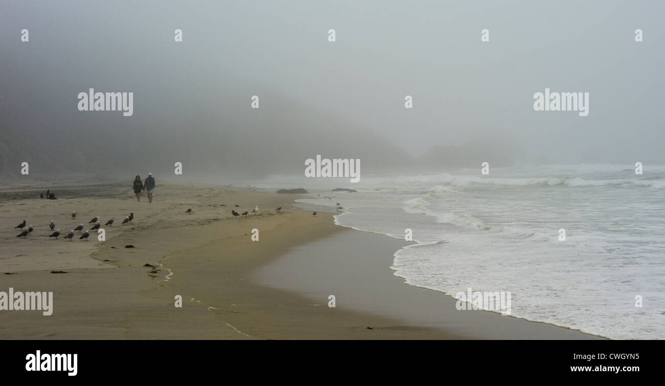 Un couple marche le long de la plage de McClure brumeux dans le Point Reyes National Seashore en Californie. Banque D'Images