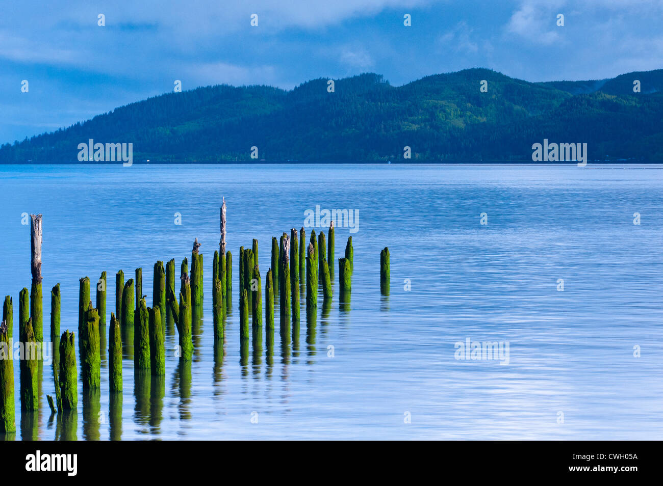 Beau lever la lumière sur des pilotis à marée haute sur la rivière Columbia, Astoria, Oregon, USA Banque D'Images