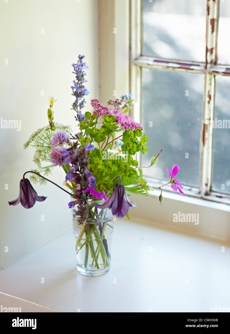 La Jolie fleurs sauvages dans un petit vase en verre blanc sur un rebord de fenêtre. Banque D'Images