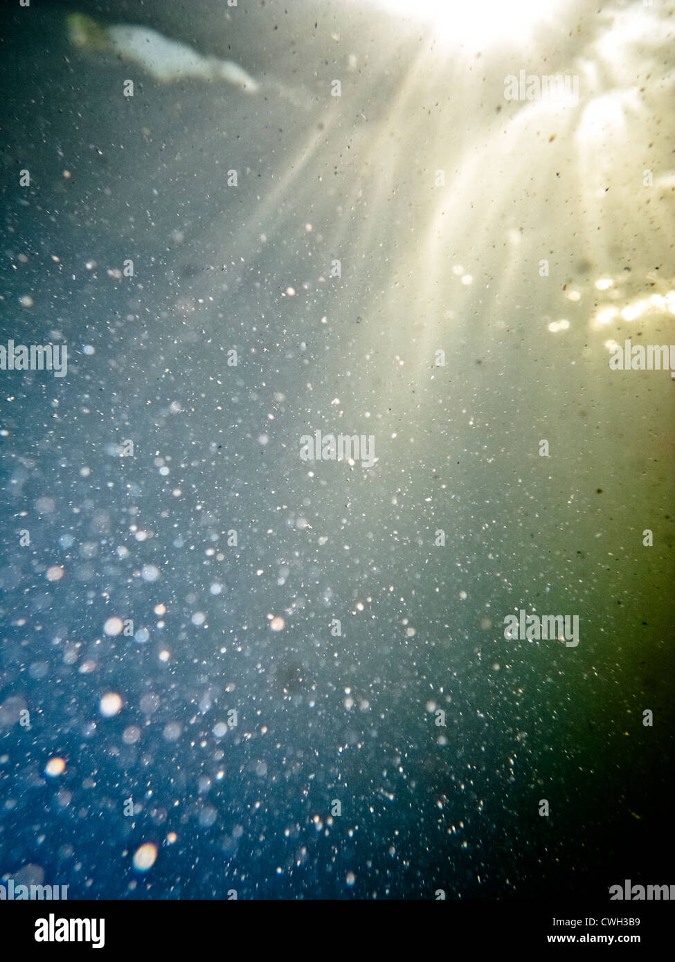 Des bulles sous l'eau,le monde sous-marin,,abstract Banque D'Images