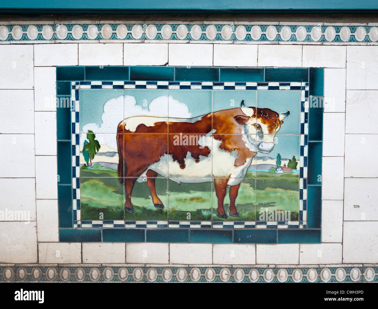 Peinture d'un bull sur les carreaux à l'extérieur d'un vieux magasin de bouchers à St Ives Cambridgeshire UK Banque D'Images