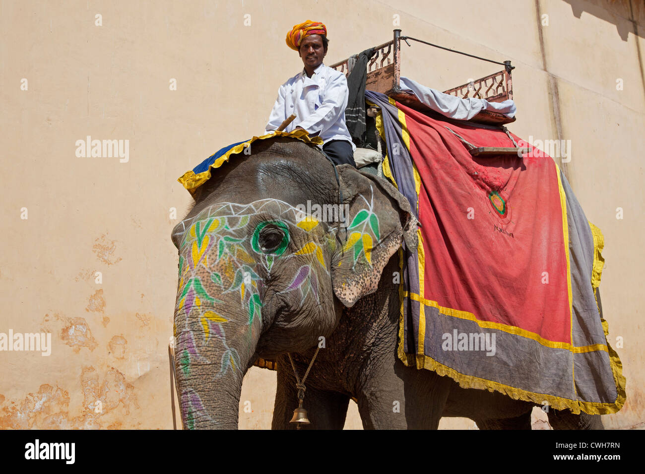 Mahout équitation décorées pour le transport des éléphants indiens touristes à Fort Amer / Amber Fort près de Jaipur, Rajasthan, Inde Banque D'Images