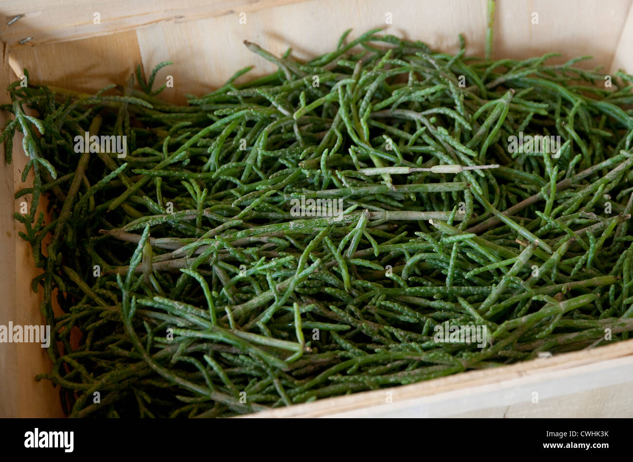 Samphire vert frais dans un coffret en bois Banque D'Images