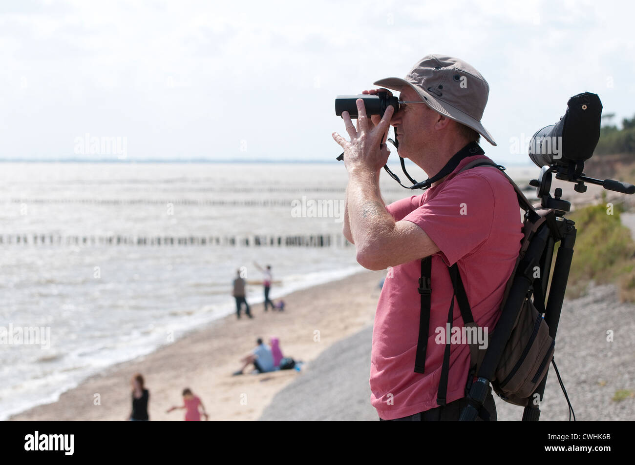 Observateur à l'east mersea island, Essex, Angleterre Banque D'Images