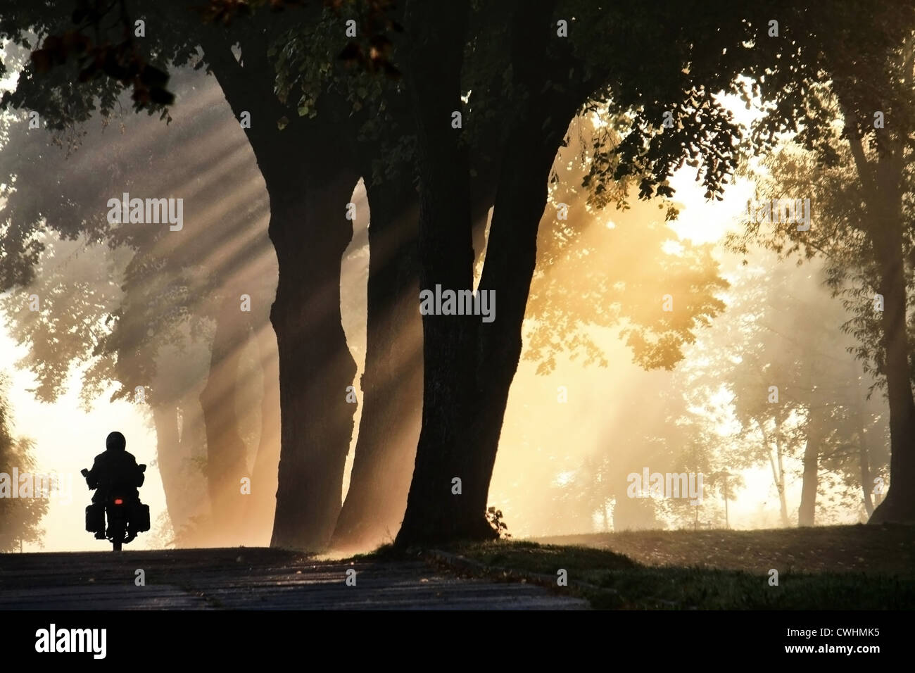 La lumière du soleil,moto,route,voyage à moto,le brouillard Banque D'Images