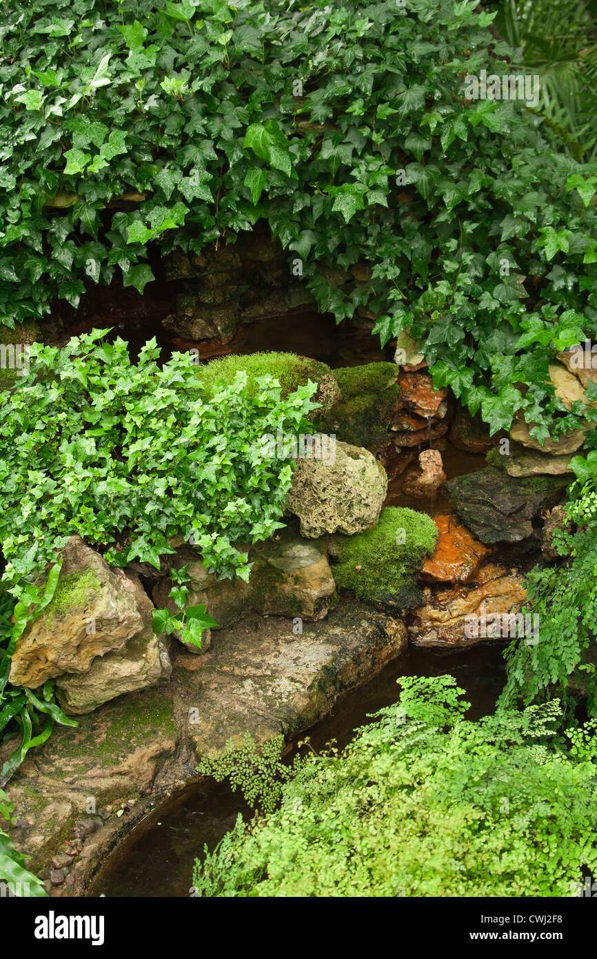 Lierre vert sur les pierres autour de grotto Banque D'Images