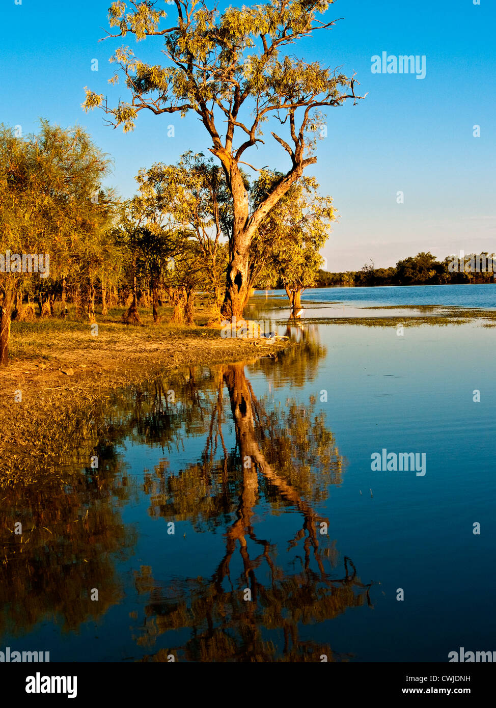 Waterhole, Centre de l'Australie, Territoire du Nord Banque D'Images