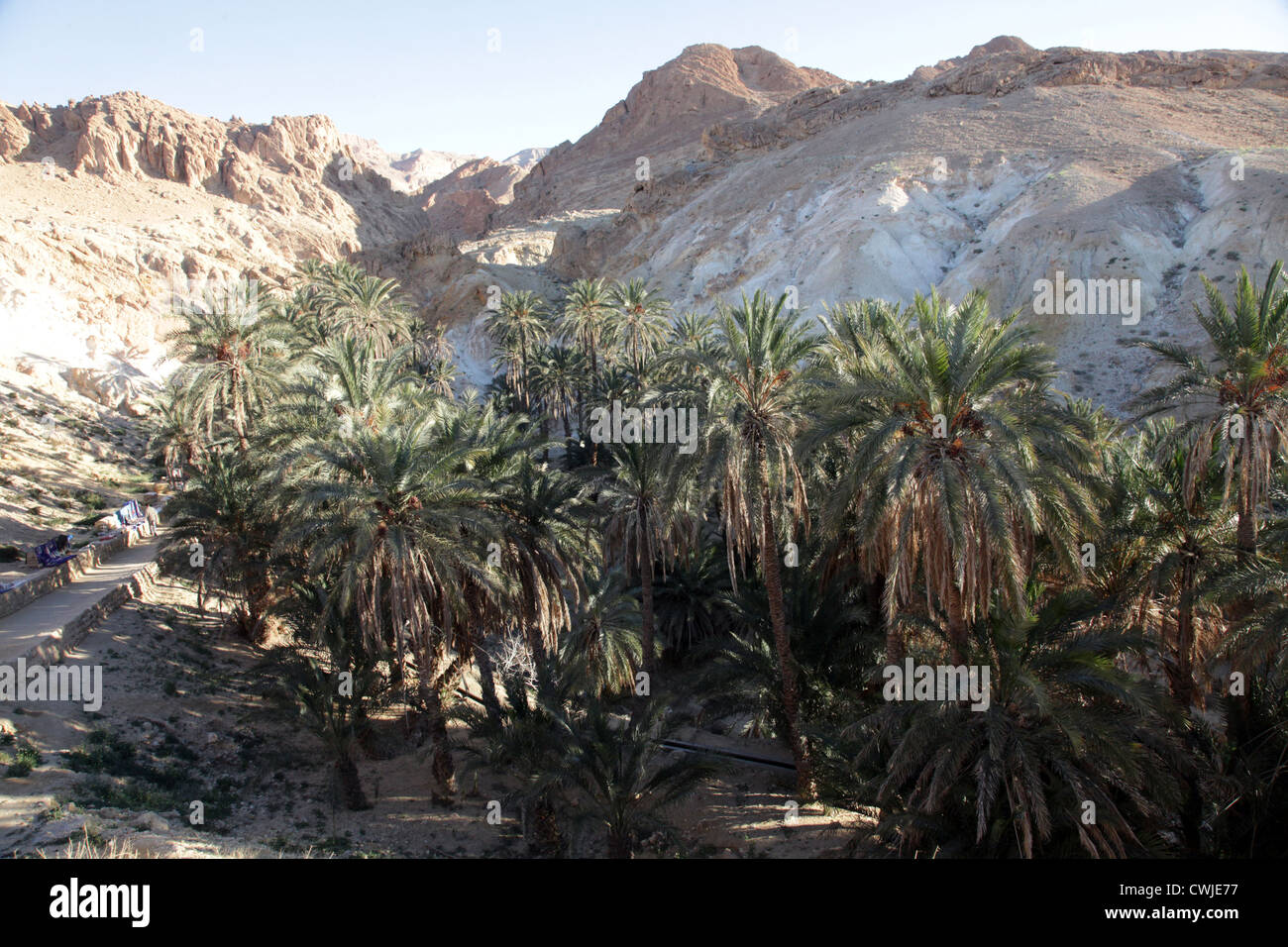 Oasis de montagne Chebika à la frontière du Sahara, Tunisie Banque D'Images