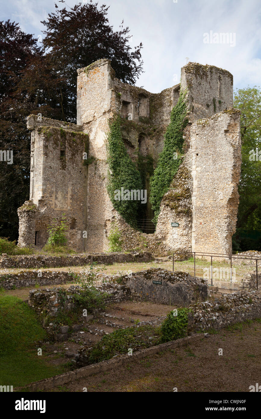La ruine médiévale de Bishop's Waltham Palace dans le Hampshire Banque D'Images