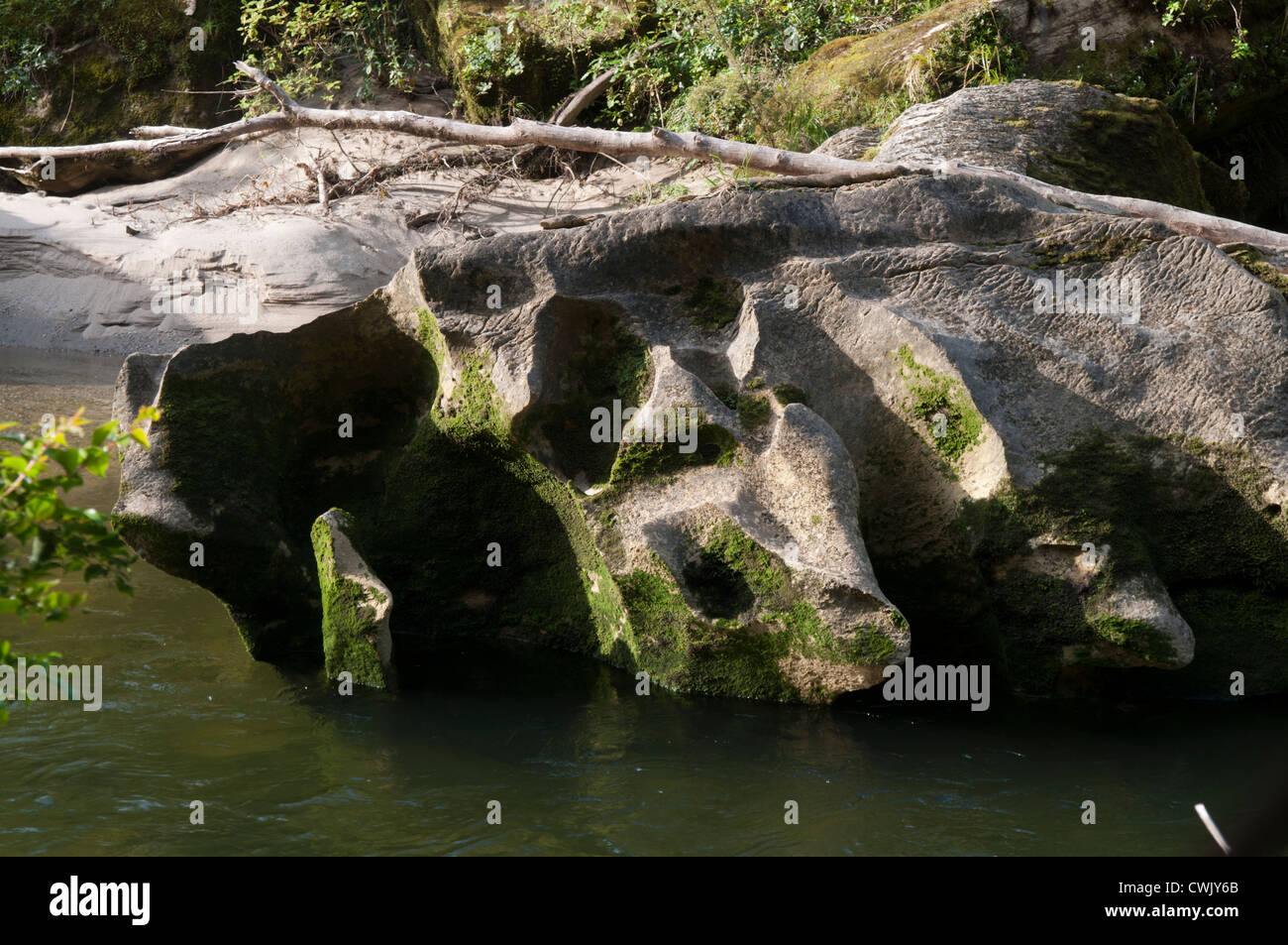 Délavé spectaculaires rochers résidait dans le Pororai dans la gorge de la rivière Paparoa National Park à la côte ouest. Banque D'Images