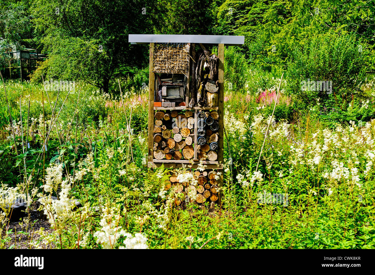 Un cadre en bois insect house construit de paille, briques, bois, écorce et le carton situé dans un jardin naturel plein de fleurs sauvages Banque D'Images