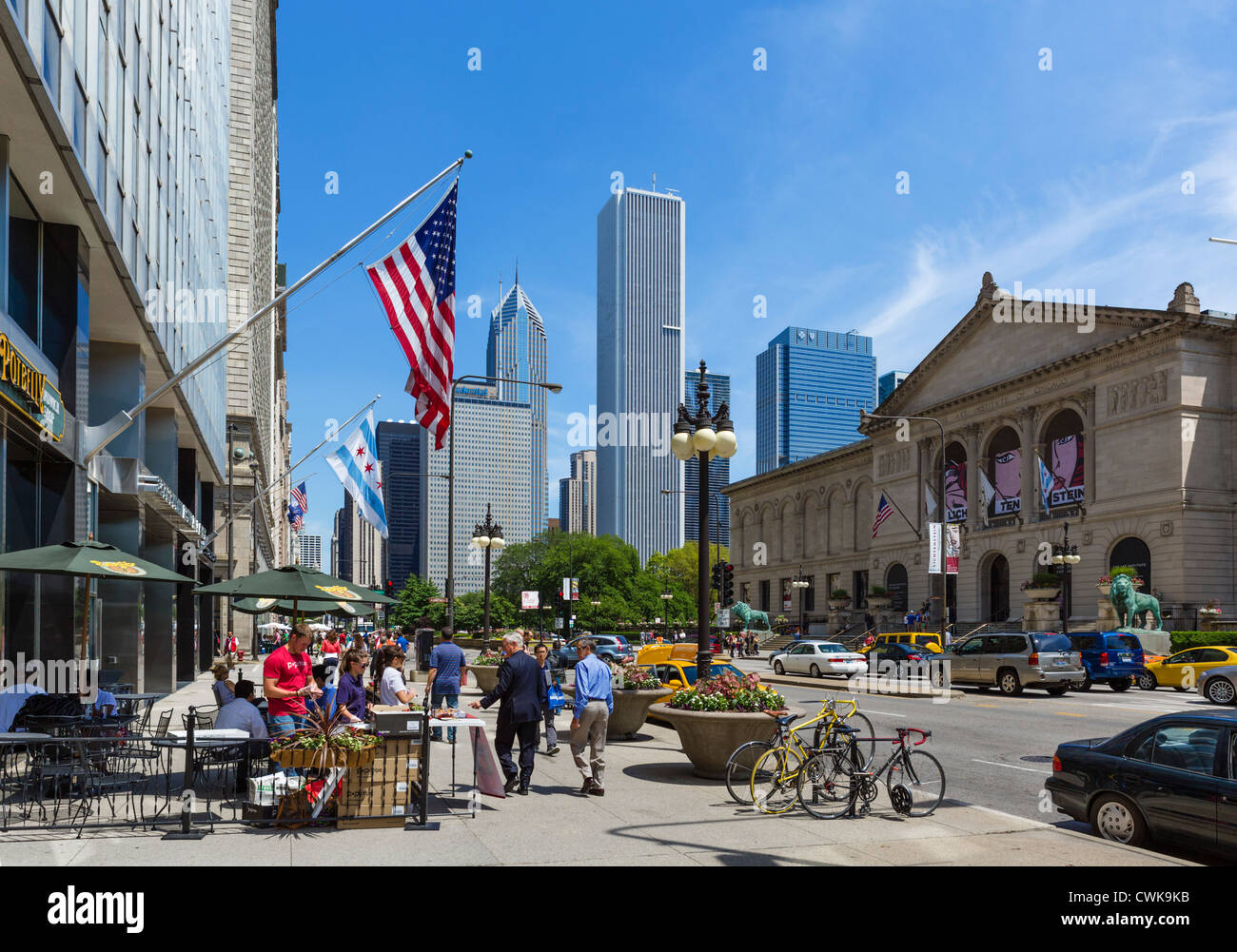 Vue vers le bas South Michigan Avenue avec l'Art Institute de Chicago vers la droite, Chicago, Illinois, États-Unis Banque D'Images