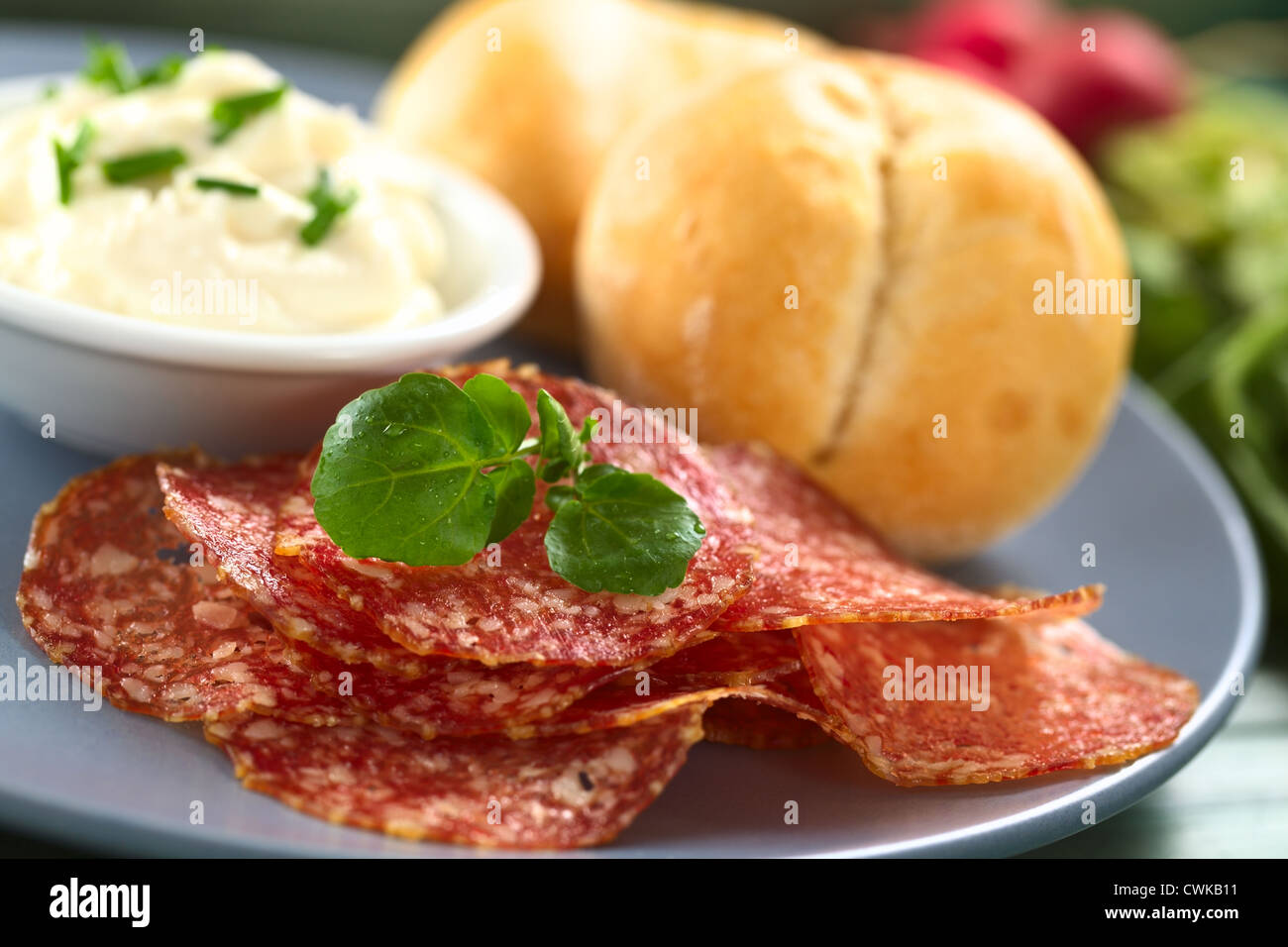 Tranches de salami fine garnie de feuilles de cresson avec le fromage à la crème et petits pains sur la plaque avec le radis dans le dos Banque D'Images Tranches de salami fine garnie de feuilles de cresson avec le fromage à la crème et petits pains sur la plaque avec le radis dans le dos Banque D'Images