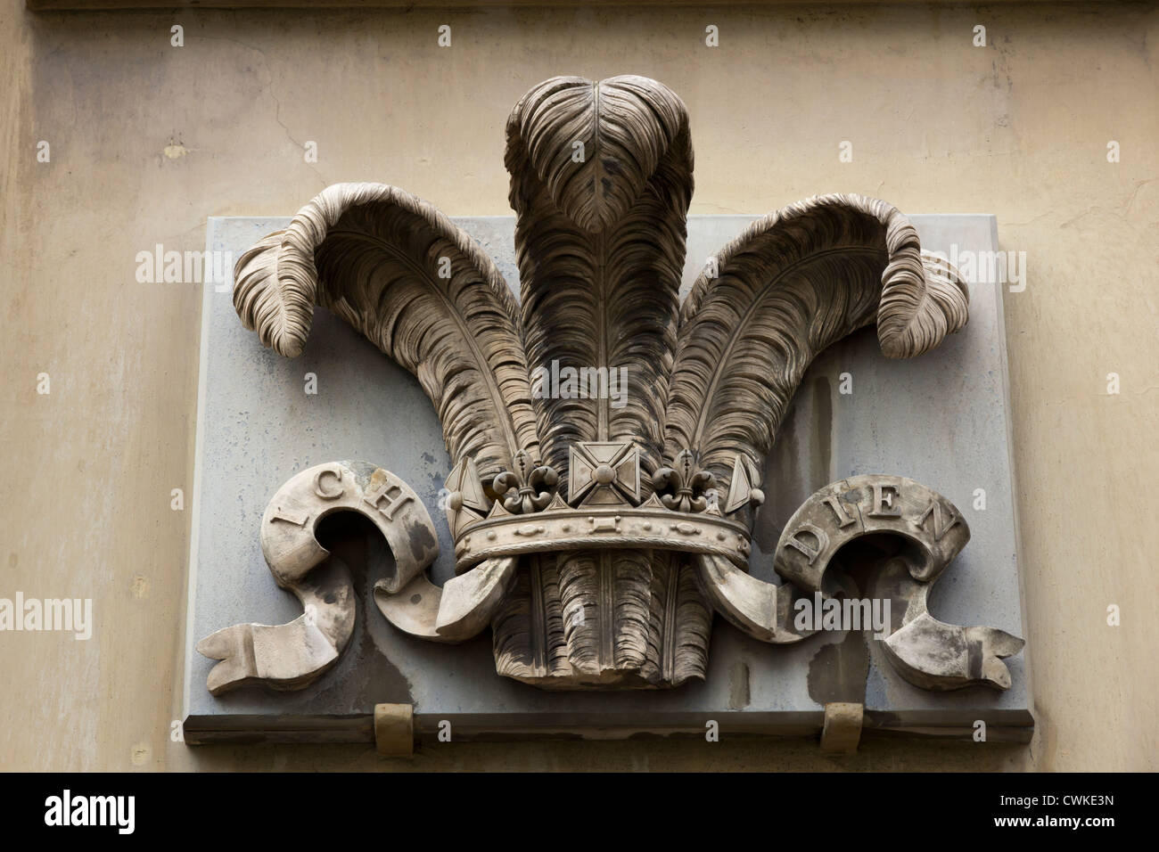 Une plaque décorative en pierre avec un cimier royal à l'extérieur du Royal Pavilion Brighton palace. Banque D'Images