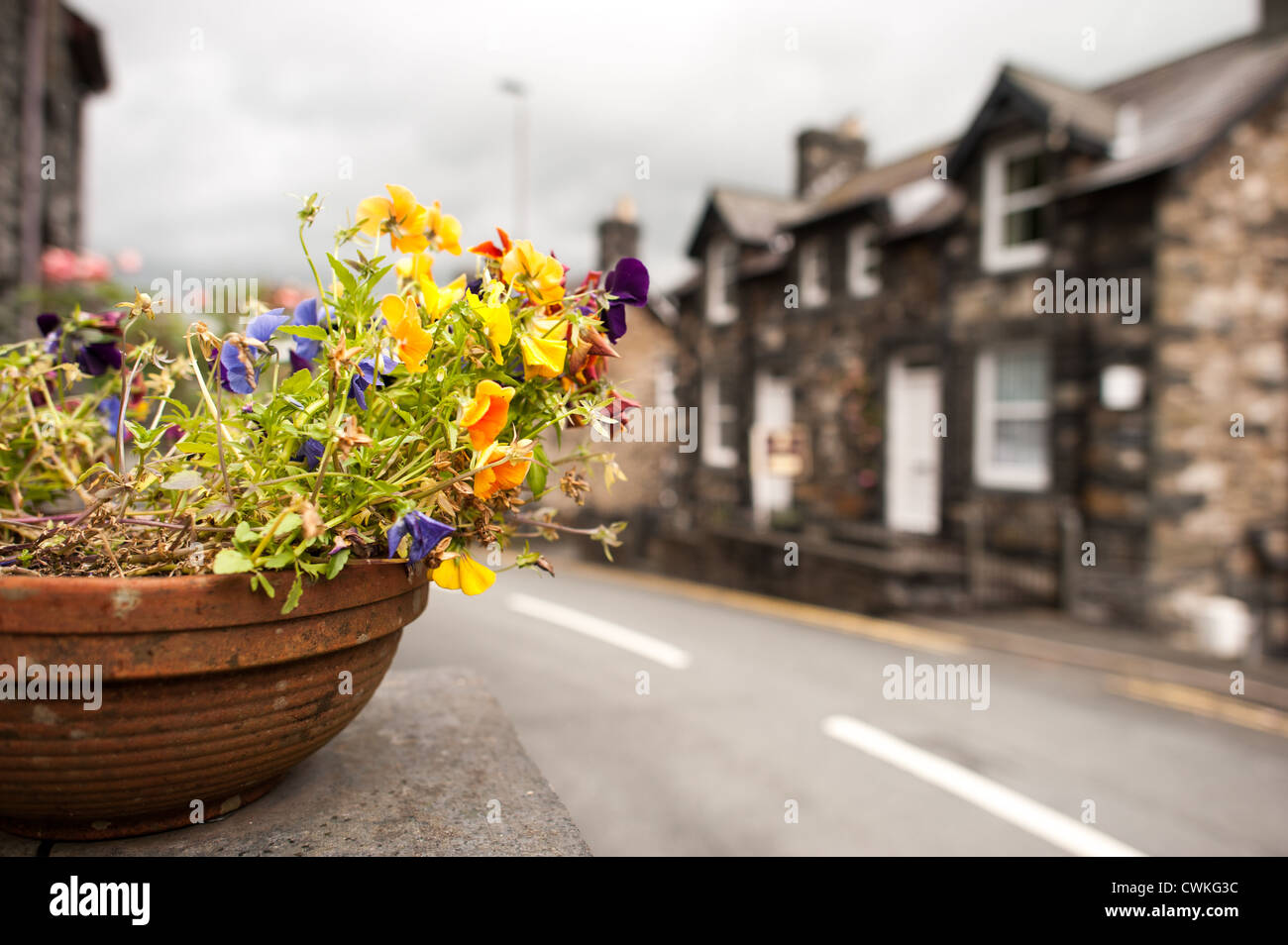 BETWS-Y-COED, pays de Galles, Royaume-Uni — Une rue pittoresque au cœur de Betws-y-Coed met en valeur le caractère charmant du village, avec des bâtiments traditionnels en pierre qui bordent l'artère. Ce pittoresque village gallois, niché dans la vallée de Conwy dans le parc national de Snowdonia, sert de porte d'entrée populaire pour les touristes explorant la beauté sauvage du nord du pays de Galles. Banque D'Images