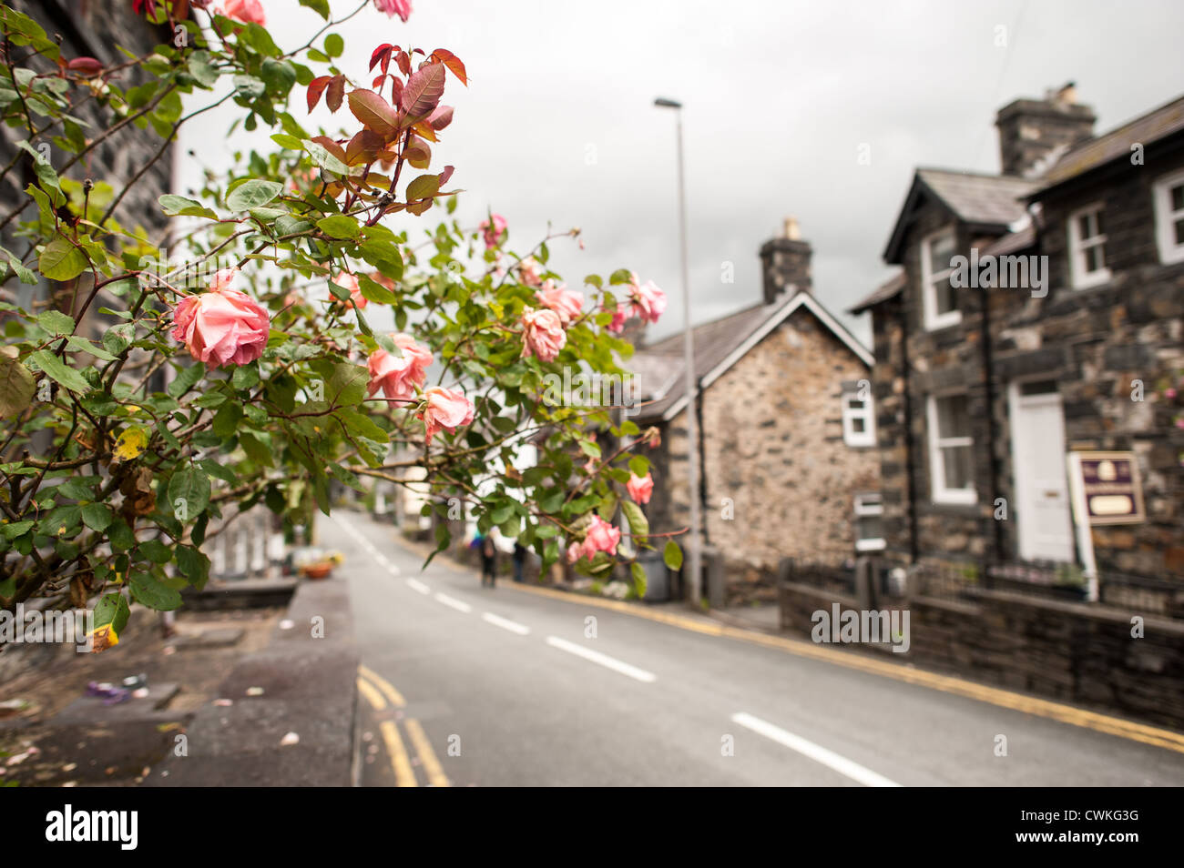 BETWS-Y-COED, pays de Galles, Royaume-Uni — Une rue pittoresque au cœur de Betws-y-Coed met en valeur le caractère charmant du village, avec des bâtiments traditionnels en pierre qui bordent l'artère. Ce pittoresque village gallois, niché dans la vallée de Conwy dans le parc national de Snowdonia, sert de porte d'entrée populaire pour les touristes explorant la beauté sauvage du nord du pays de Galles. Banque D'Images