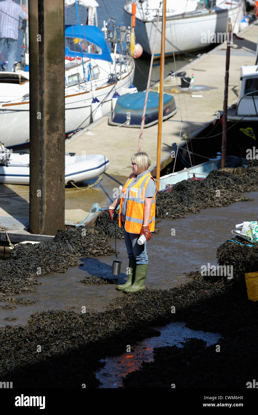 Scientifique de l'analyse de l'eau eau Yorkshire angleterre whitby duk Banque D'Images