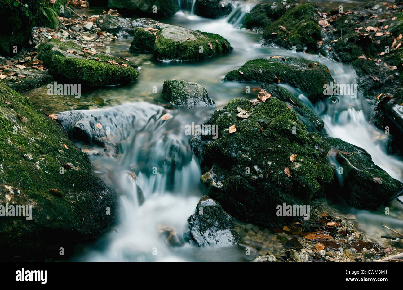 Allemagne, Bavière, rivière qui coule à travers les roches couvertes de mousse Banque D'Images