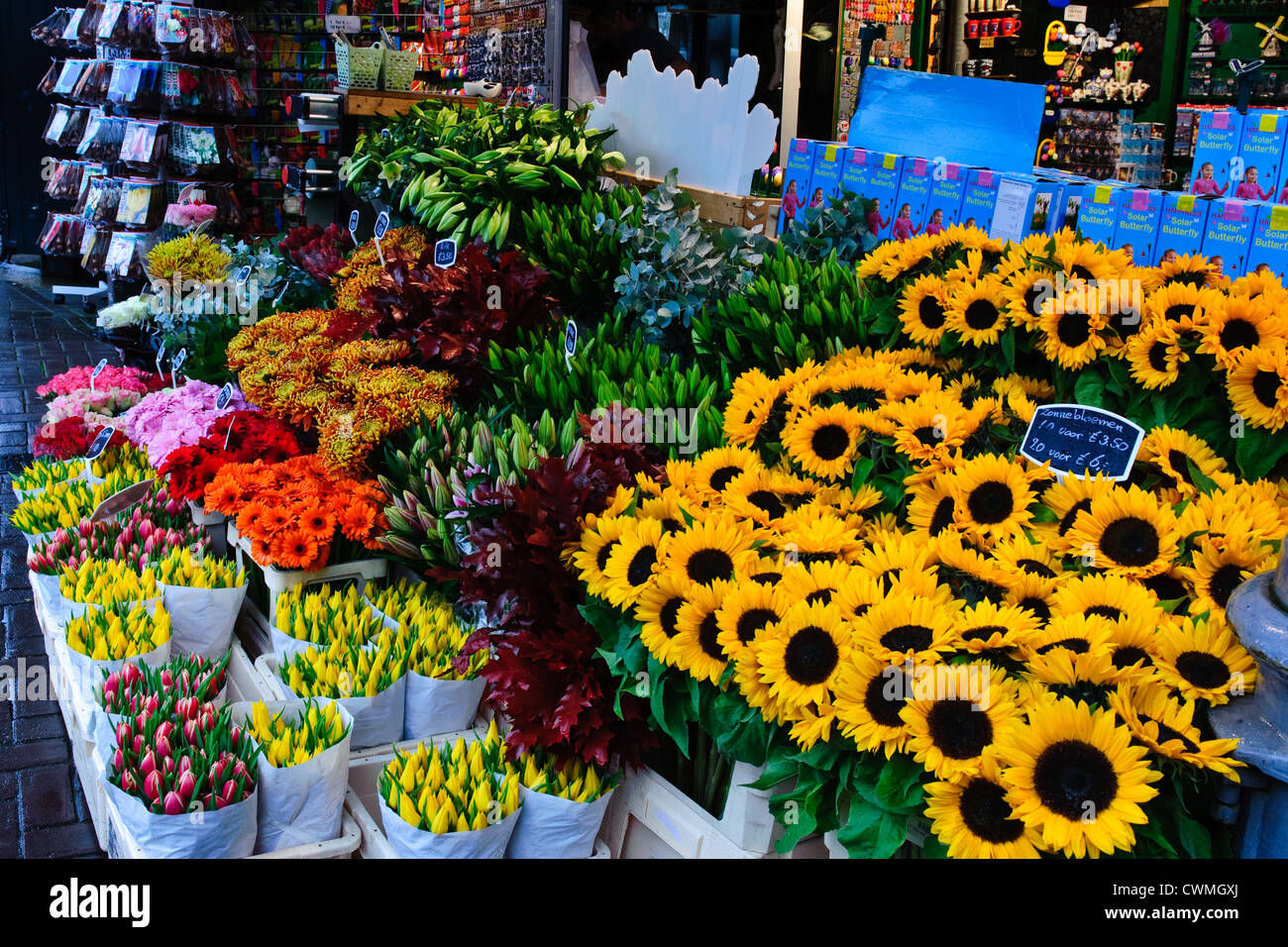 Des fleurs sur le marché aux fleurs Banque D'Images