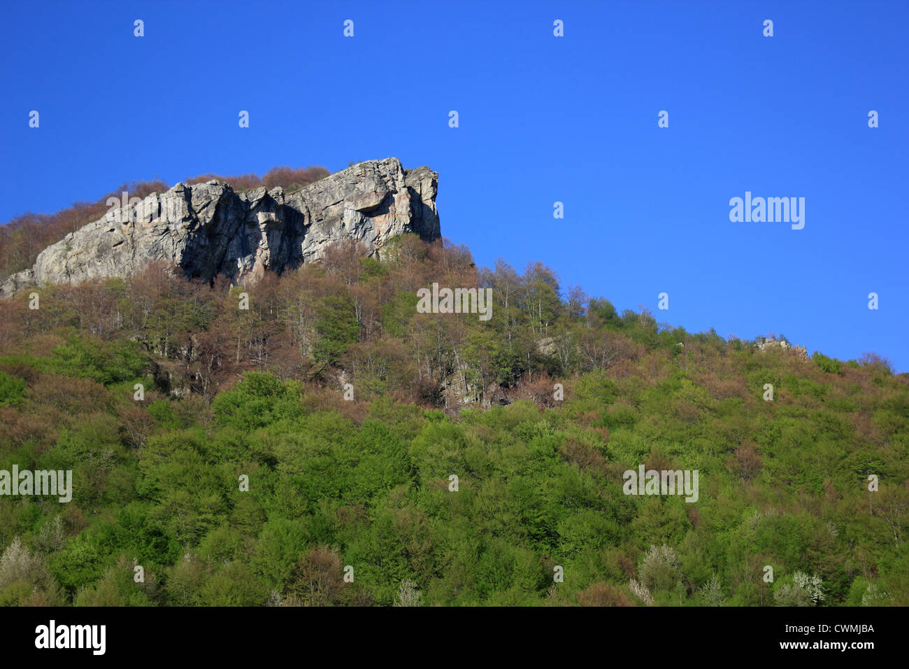 Roumanie, Carpates, paysages de montagne, printemps Banque D'Images