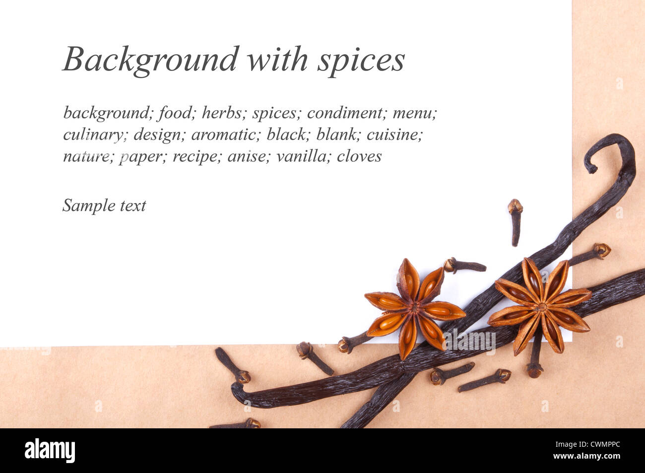 Arrière-plan avec l'anis, la vanille et le girofle Banque D'Images