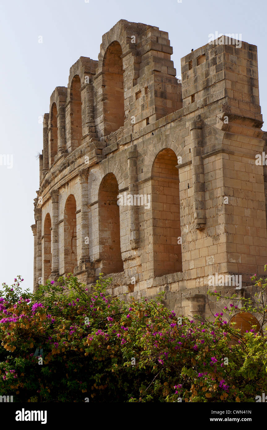 Vue de l'amphithéâtre romain d'El Jem Tunisie et de bougainvilliers Banque D'Images