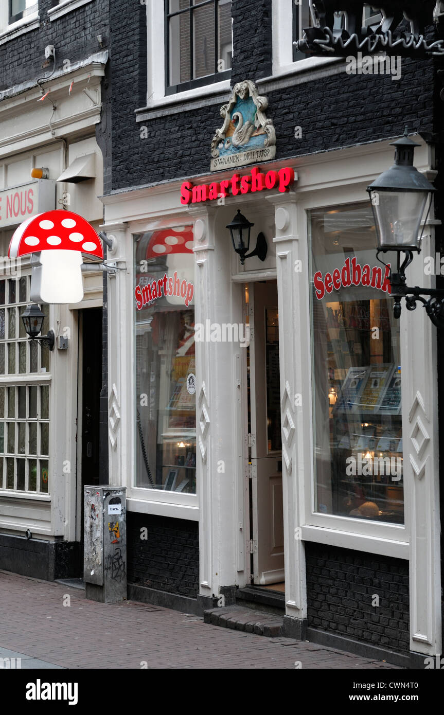 Signe extérieur de champignons smartshop drogues légales vente haut de la vente de drogues controverse juridique tourisme amsterdam Banque D'Images