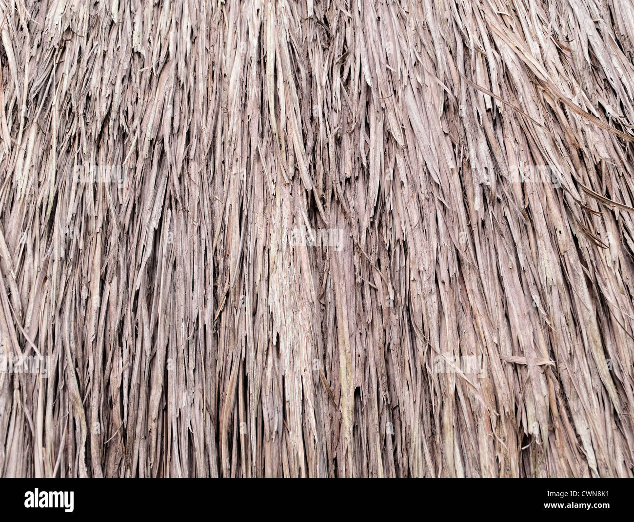 La texture de vieux, aperçu de toit nipa hut Banque D'Images