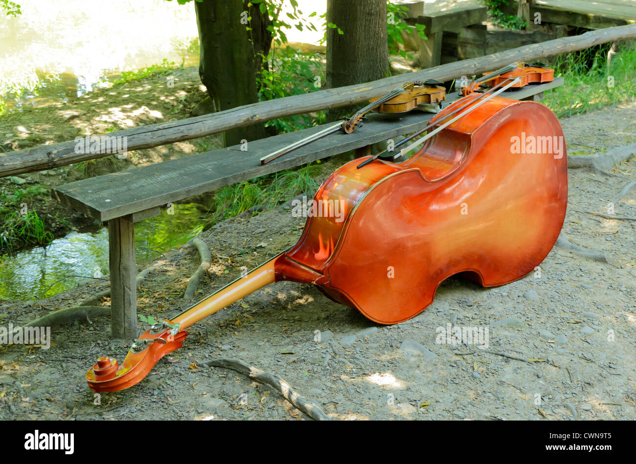Violons et violoncelle se reposant sur un banc Banque D'Images